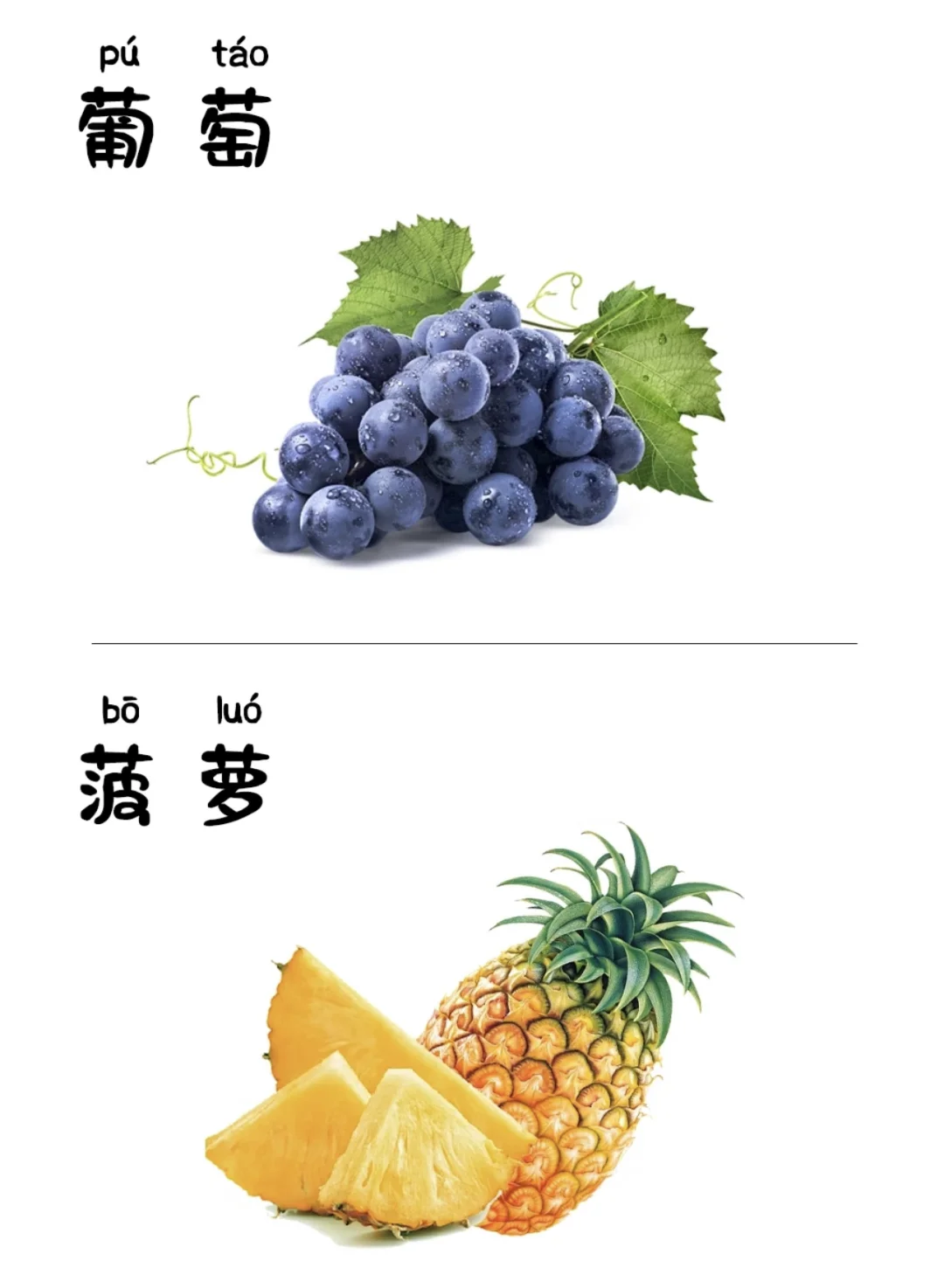 认识水果卡片
