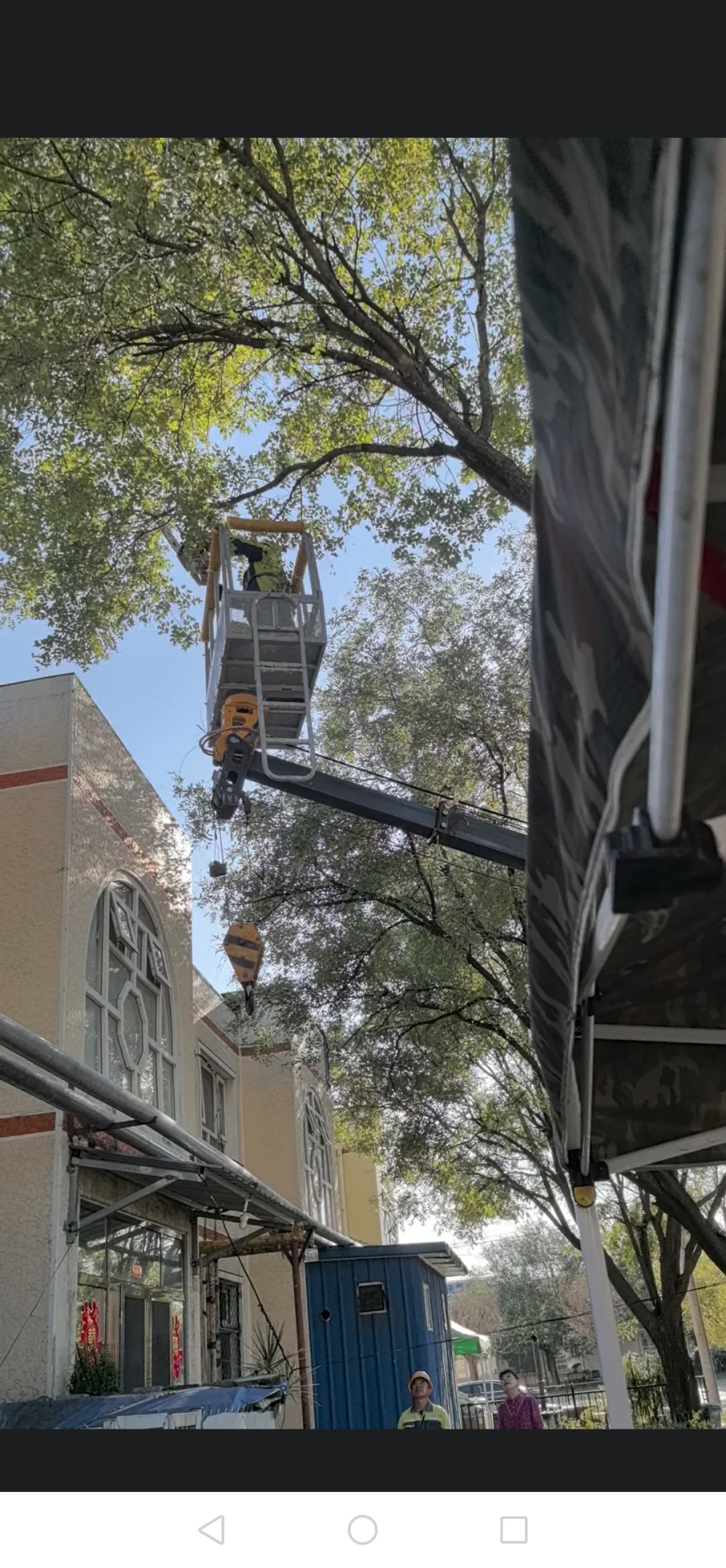 农村林业工人整理树木也用上现代化机械了