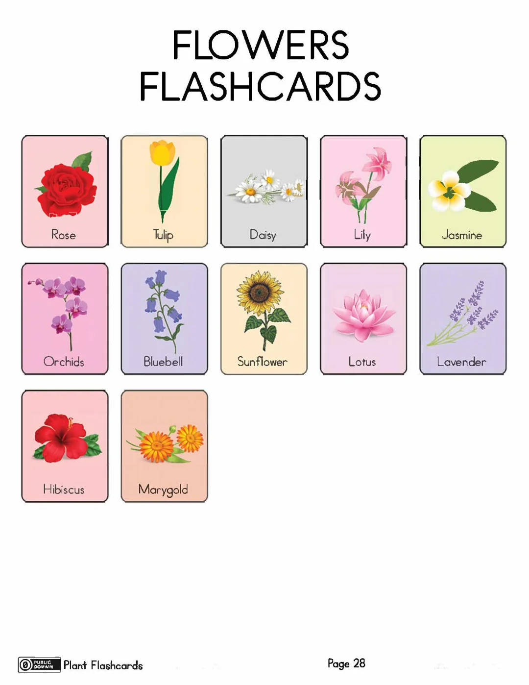 亲子英语和孩子一起学英文水果蔬菜植物