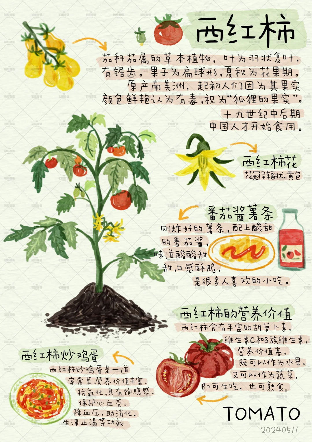 谁懂这九宫格的含金量？植物百科