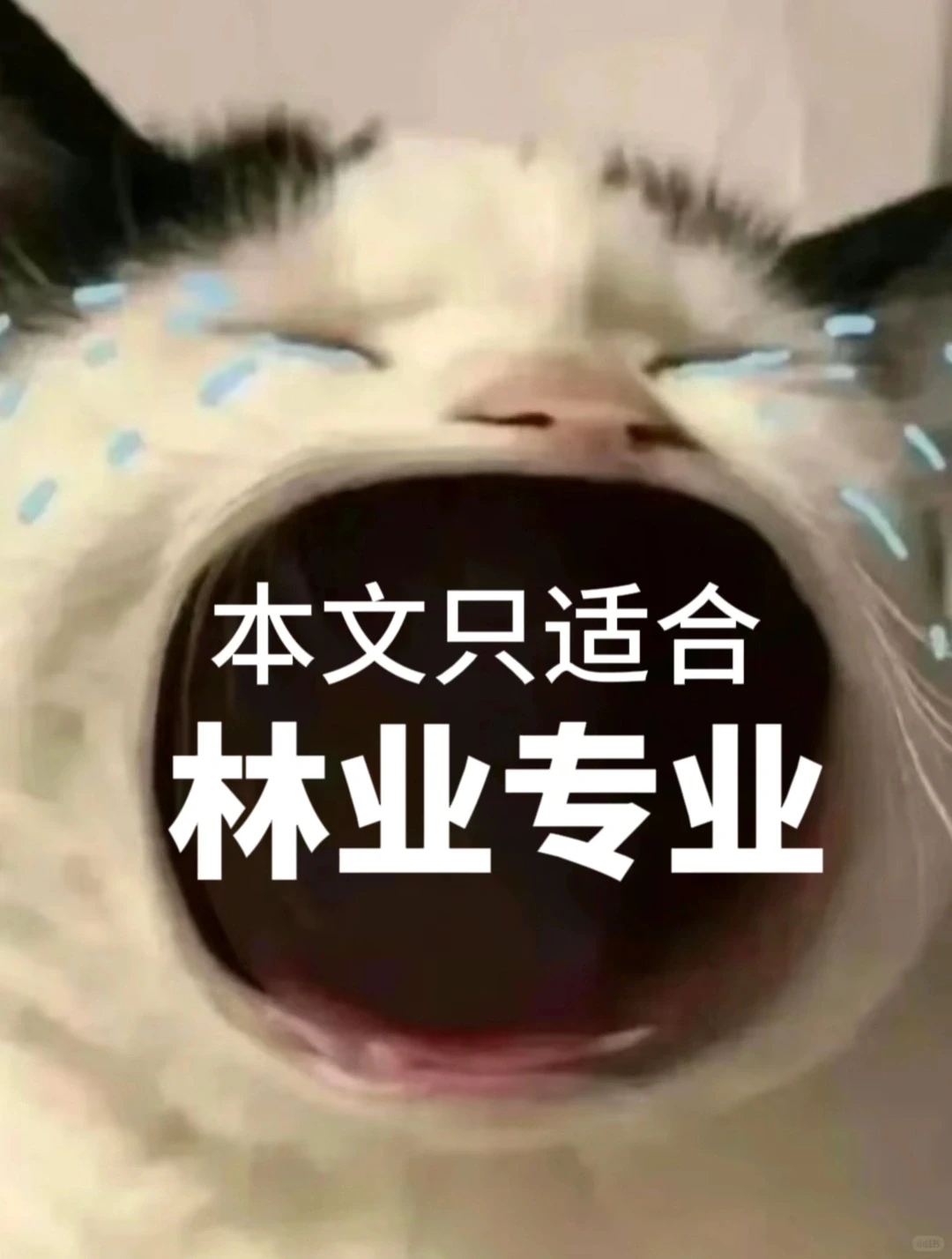 安利给所有林业专业要发刊的宝子们?