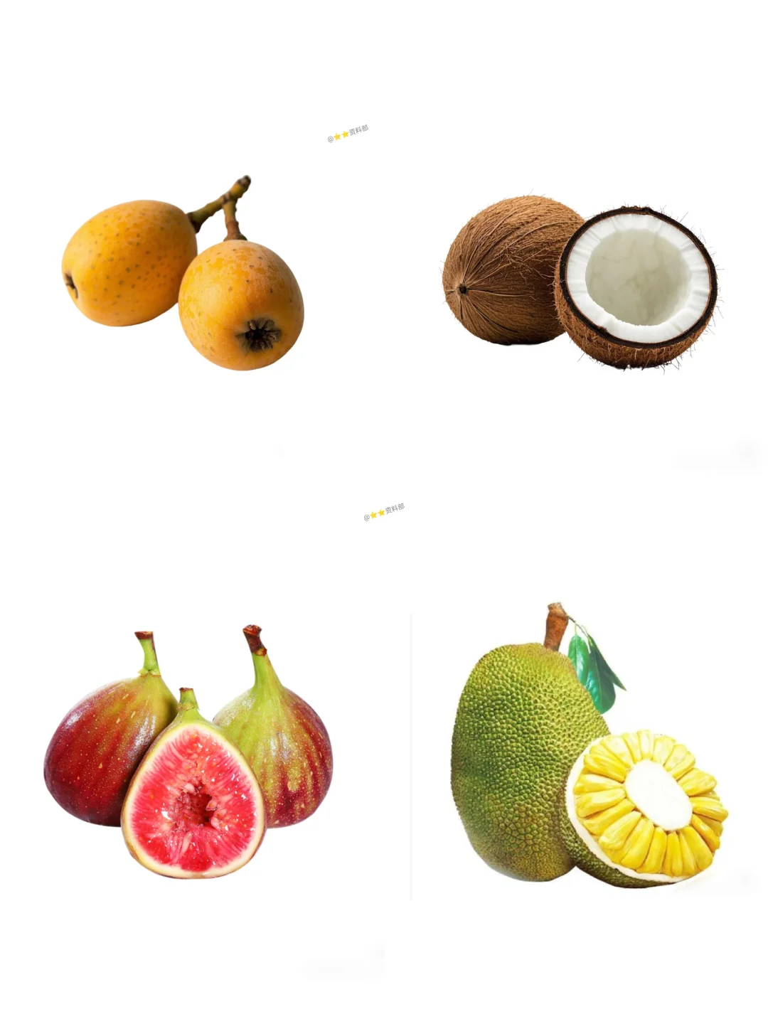 常见水果类可打印