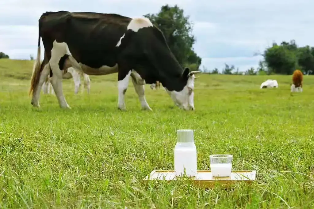 食品圈风云:24 事件与 25 趋势大赏?