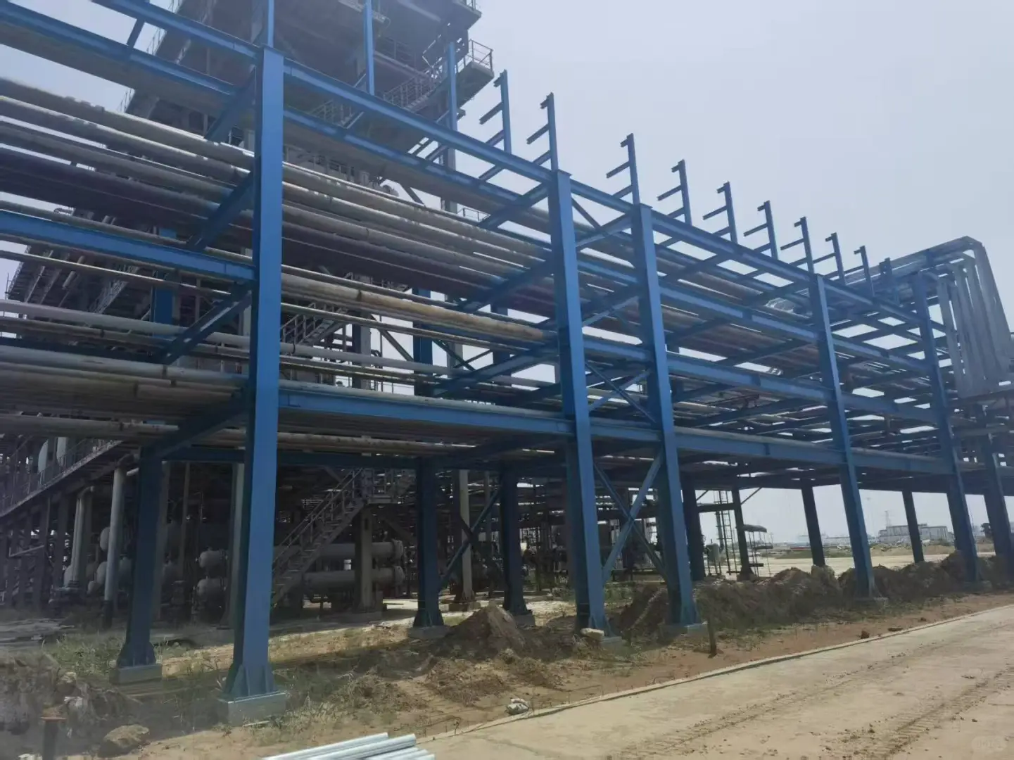 年年冲广交会，到底为什么？