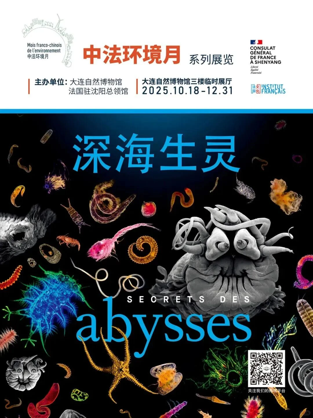 ?12月大连这波新展?够你拍到2026！