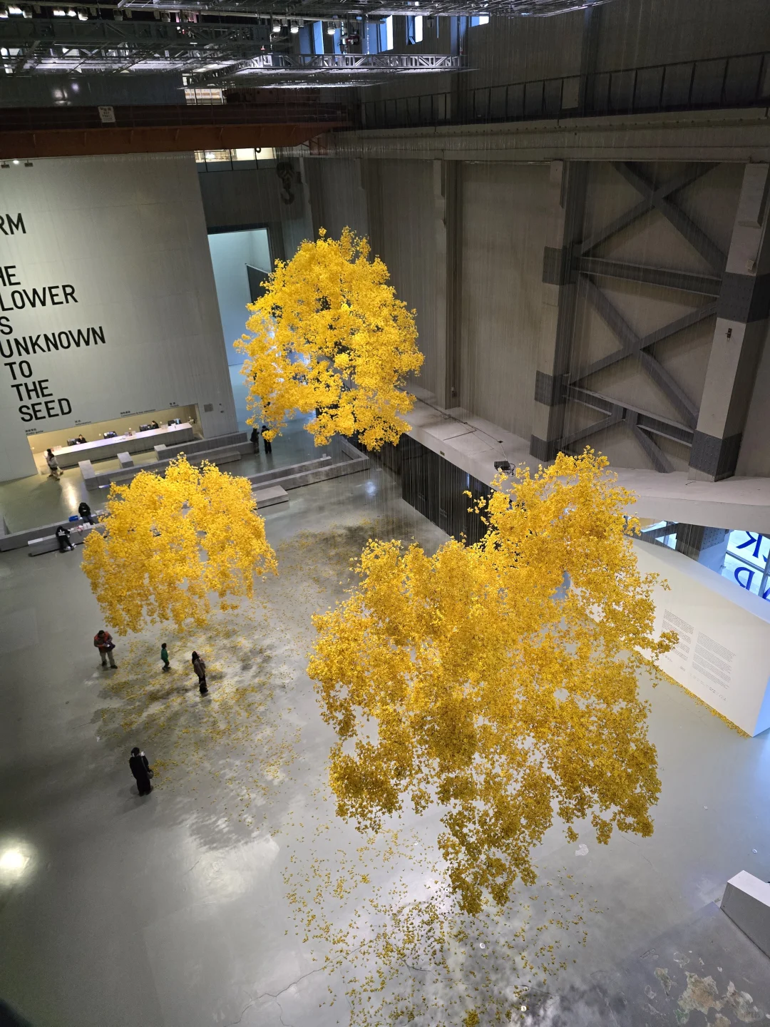 上海双年展|“花儿听到蜜蜂了吗?”