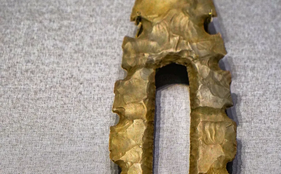 河博?免费的玛雅展,逛完略感魔幻(附攻略)