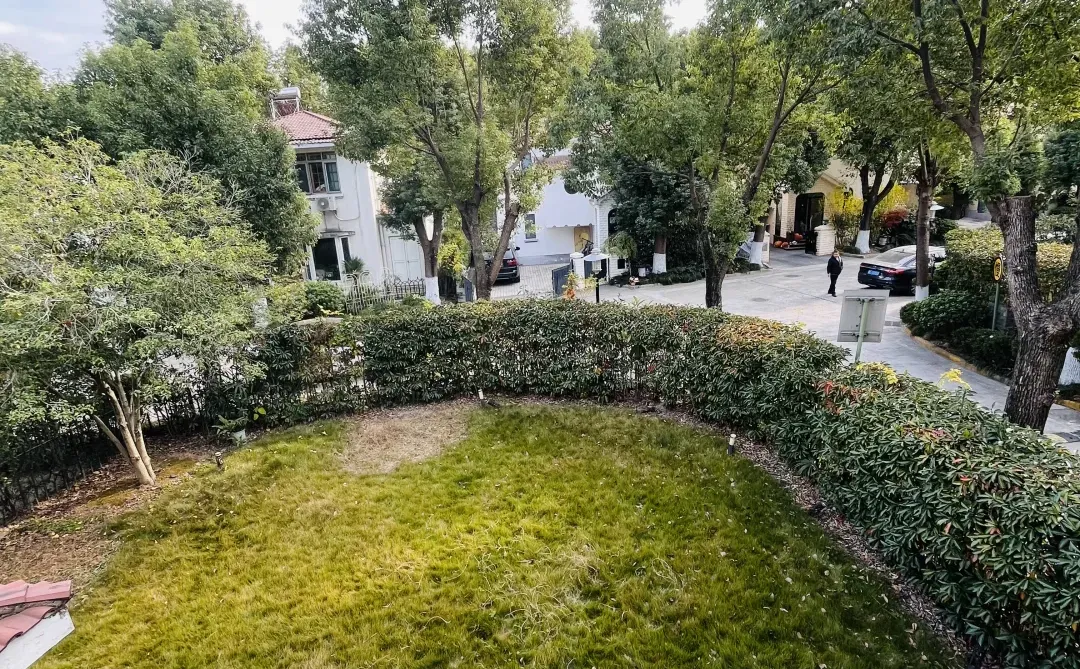 会展中心零距离 美式小独栋 大花园