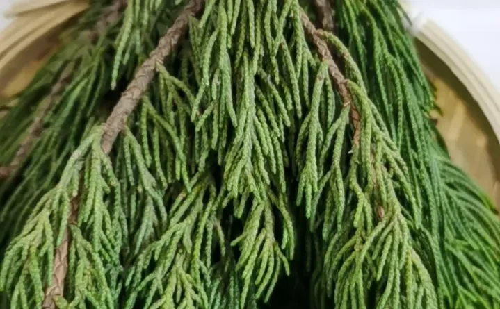 杨叔聊香—厦门疗愈展