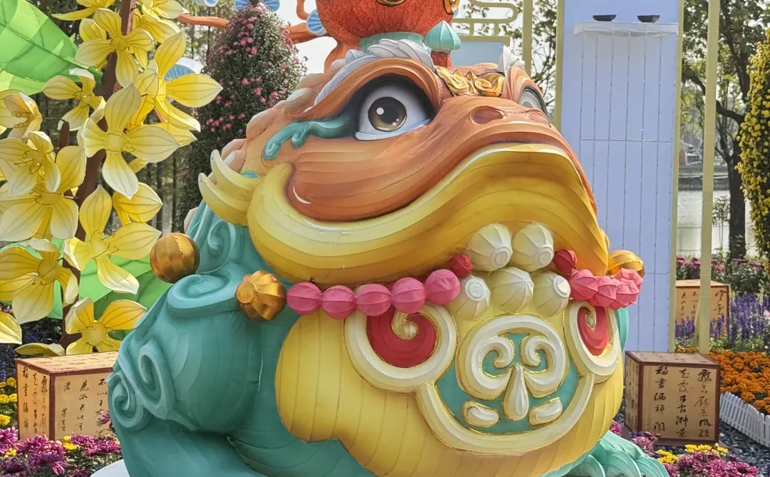 中山｜珠海出发?小榄菊花展，太好看啦！