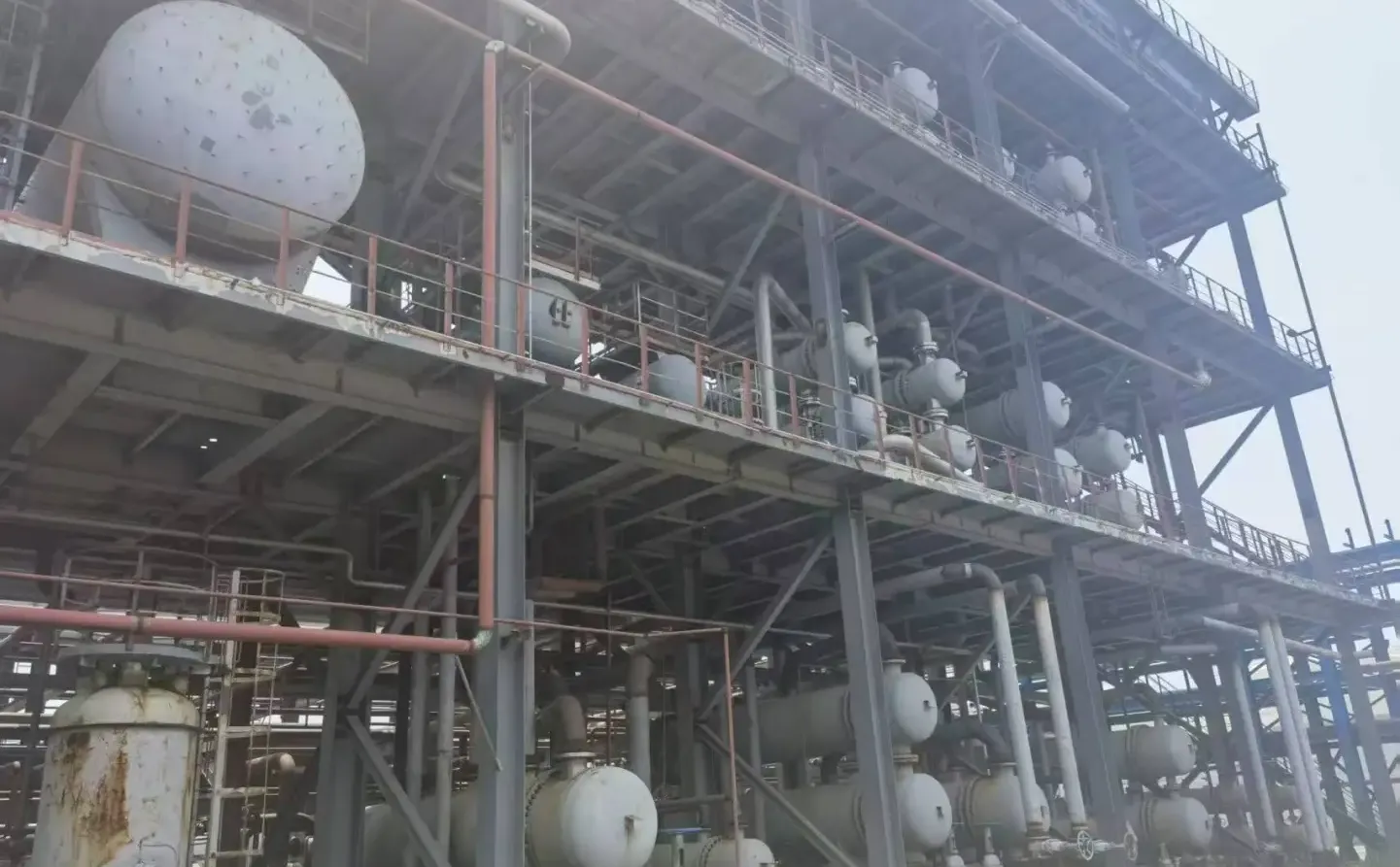 年年冲广交会，到底为什么？