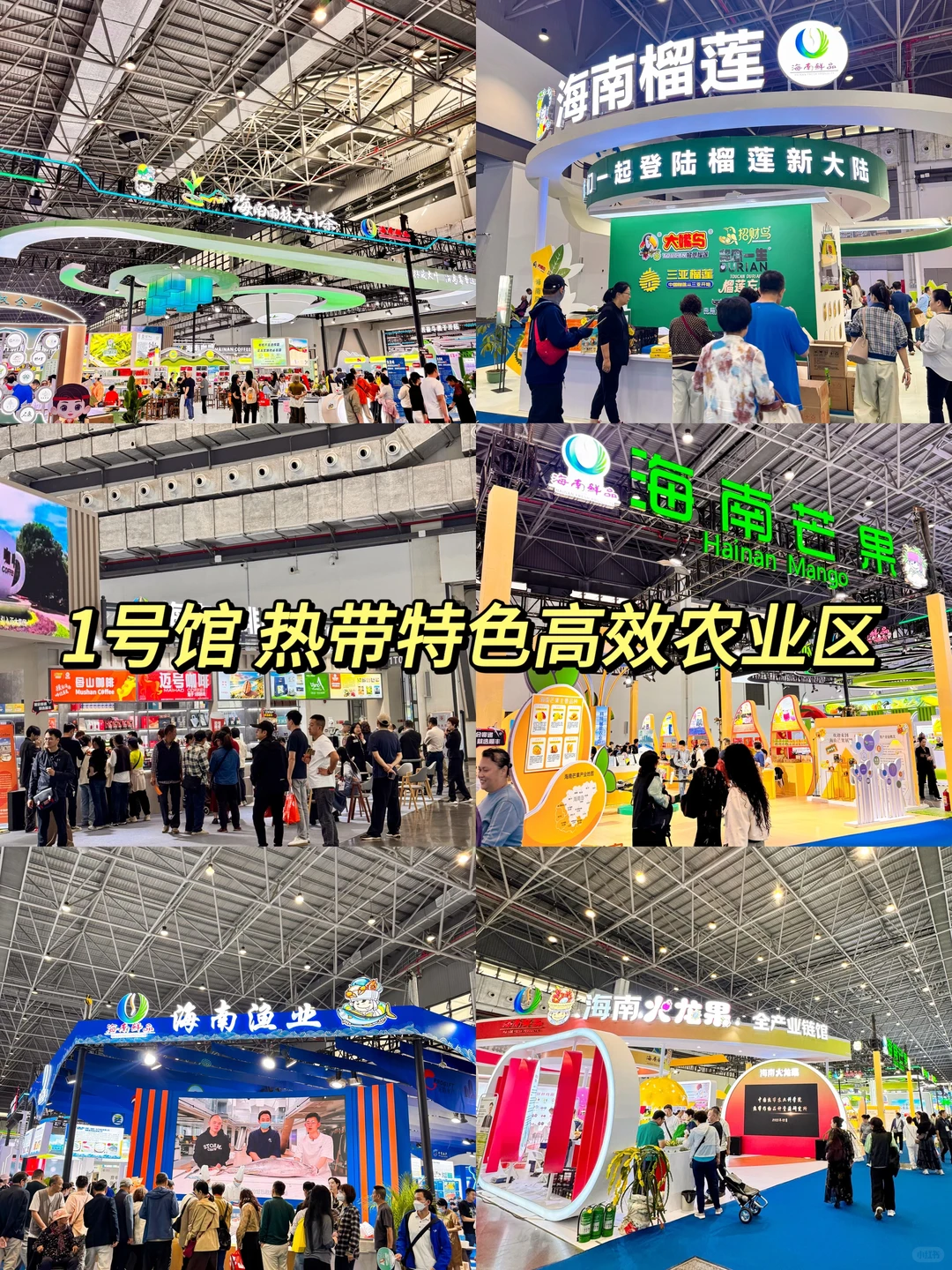 2025海南冬交会逛展攻略✅咖啡控真的要来！！