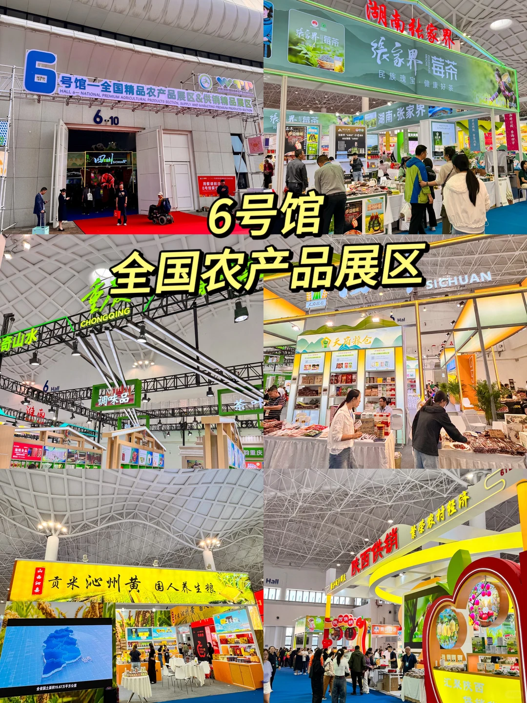 2025海南冬交会逛展攻略✅咖啡控真的要来！！