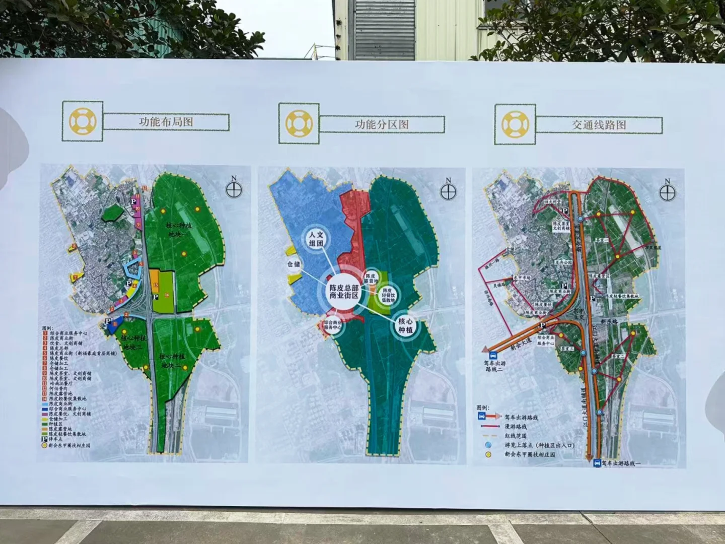 新会陈皮核心产区连片经营推介会