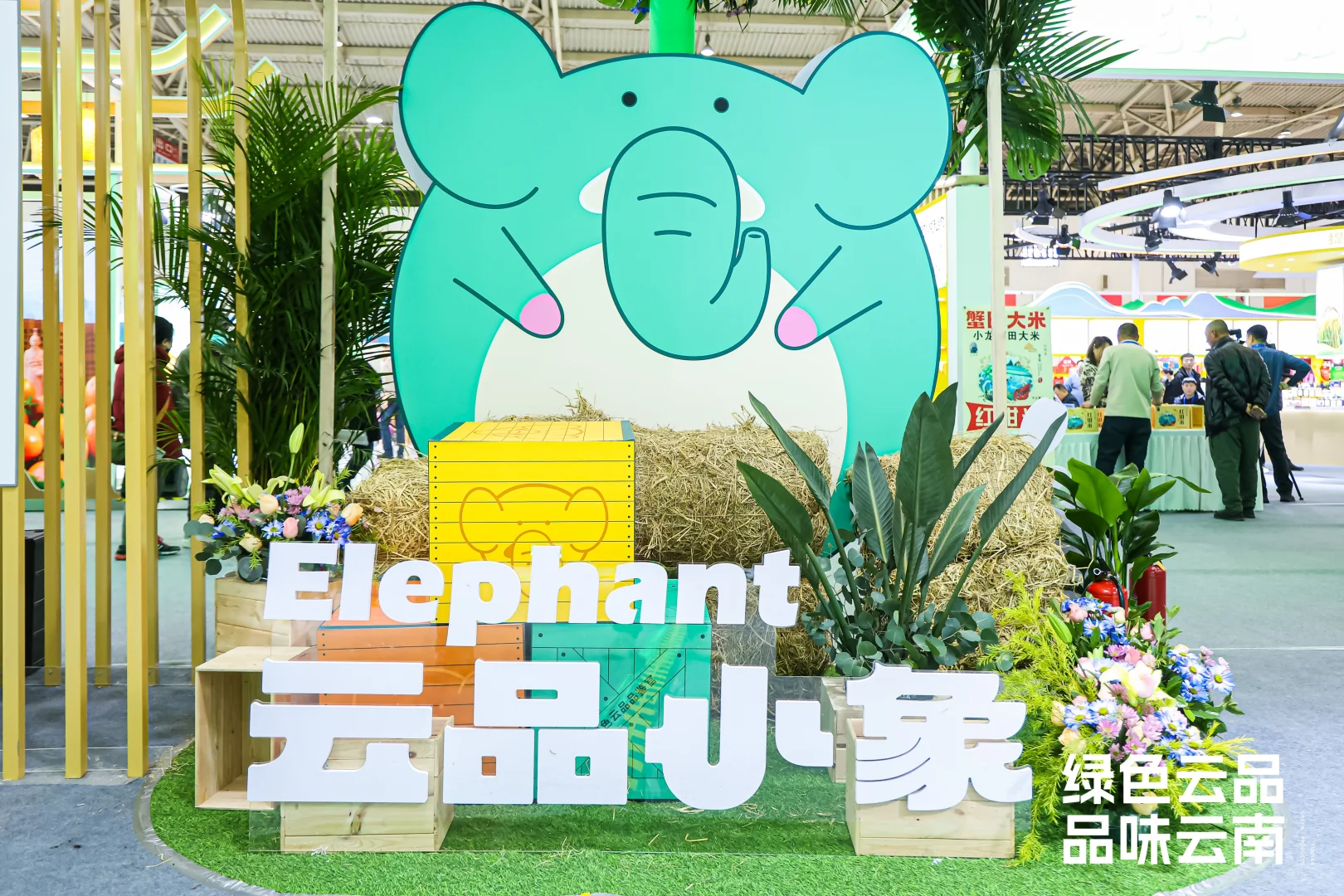 “绿色云品”北京展示推介活动火热进行中！