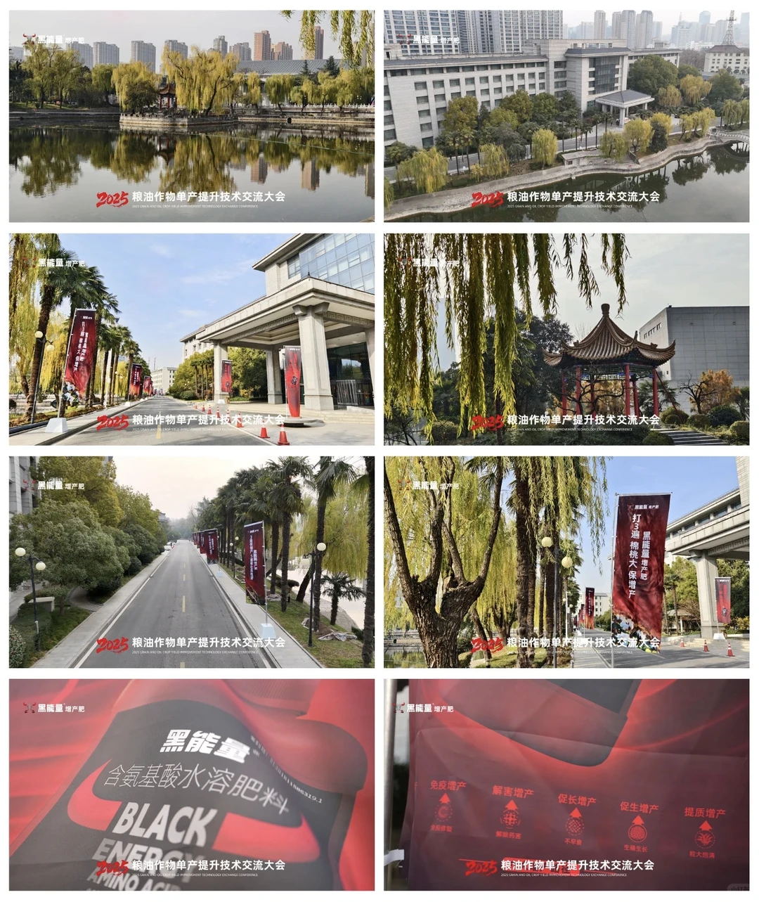 黑能量/2025粮油作物单产提升技术交流大会