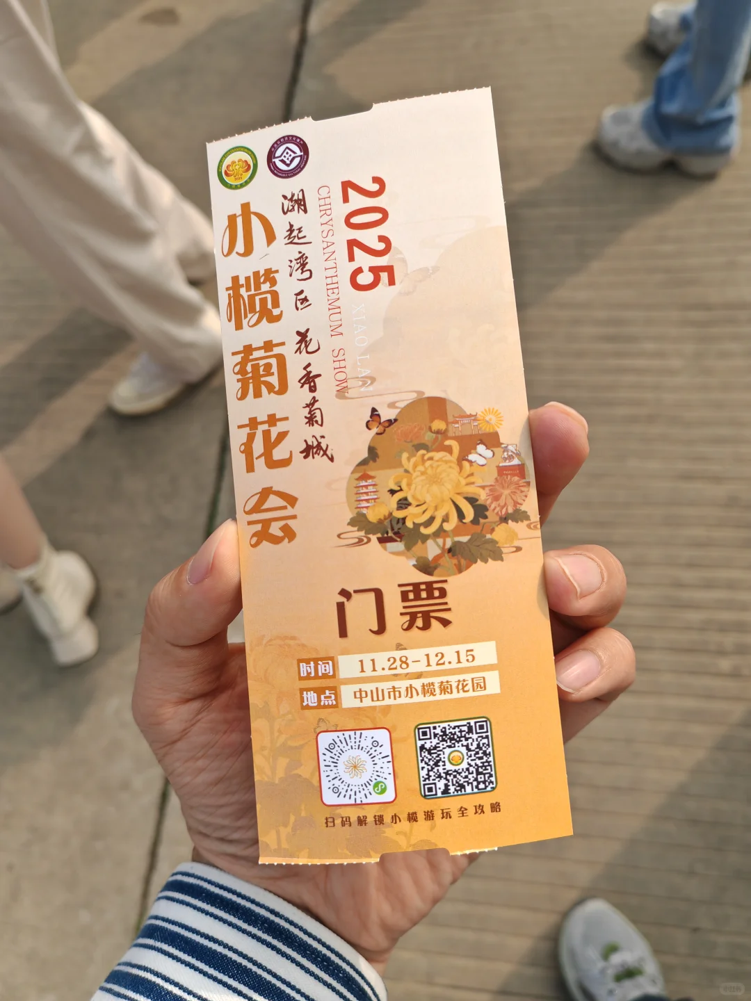 中山小榄菊花展 非正常人类参观指南…