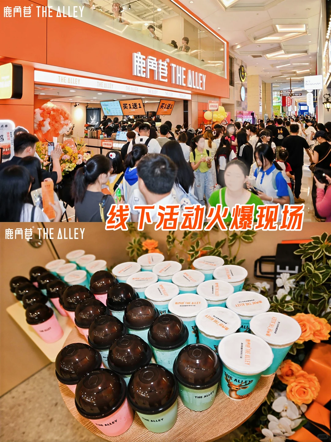 2025 鹿角巷城市代理成绩单来啦~