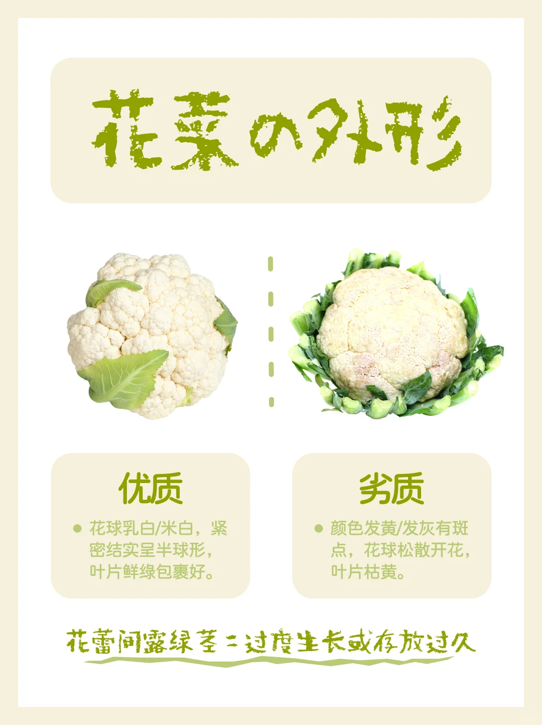 ?采购技巧|你会挑花菜吗？