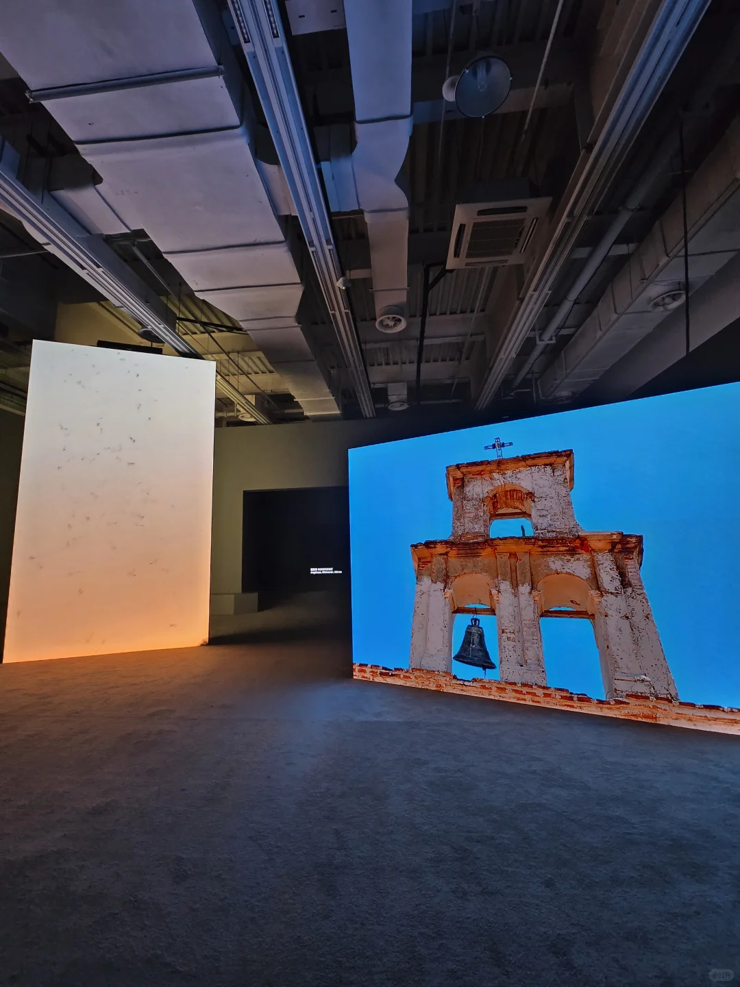 上海双年展|“花儿听到蜜蜂了吗?”