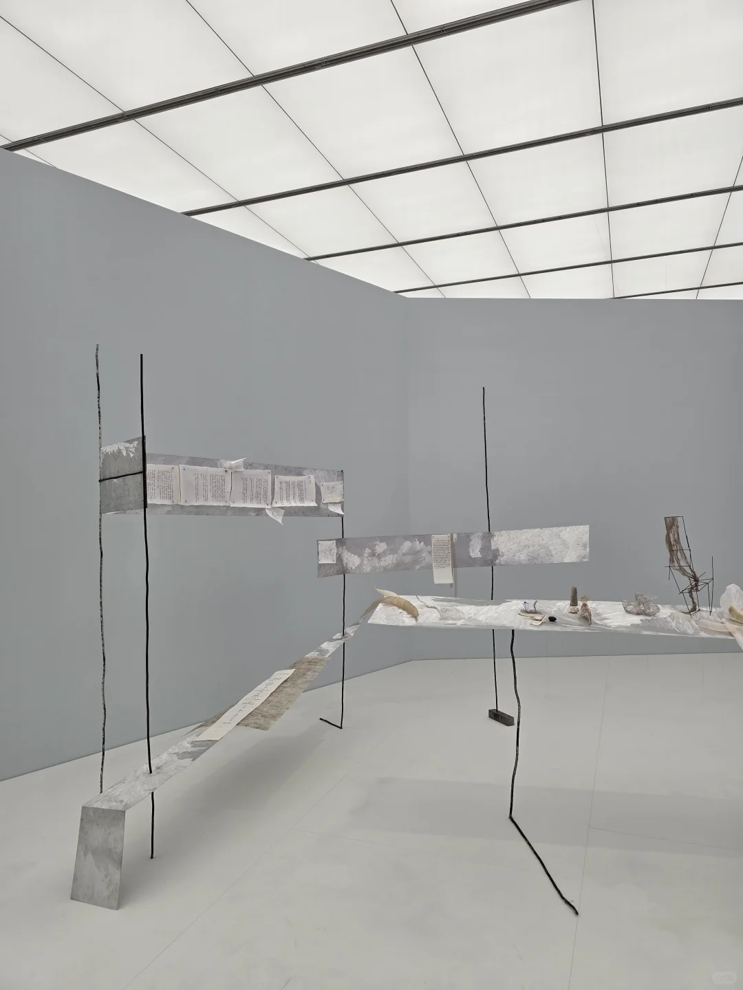 上海双年展|“花儿听到蜜蜂了吗?”