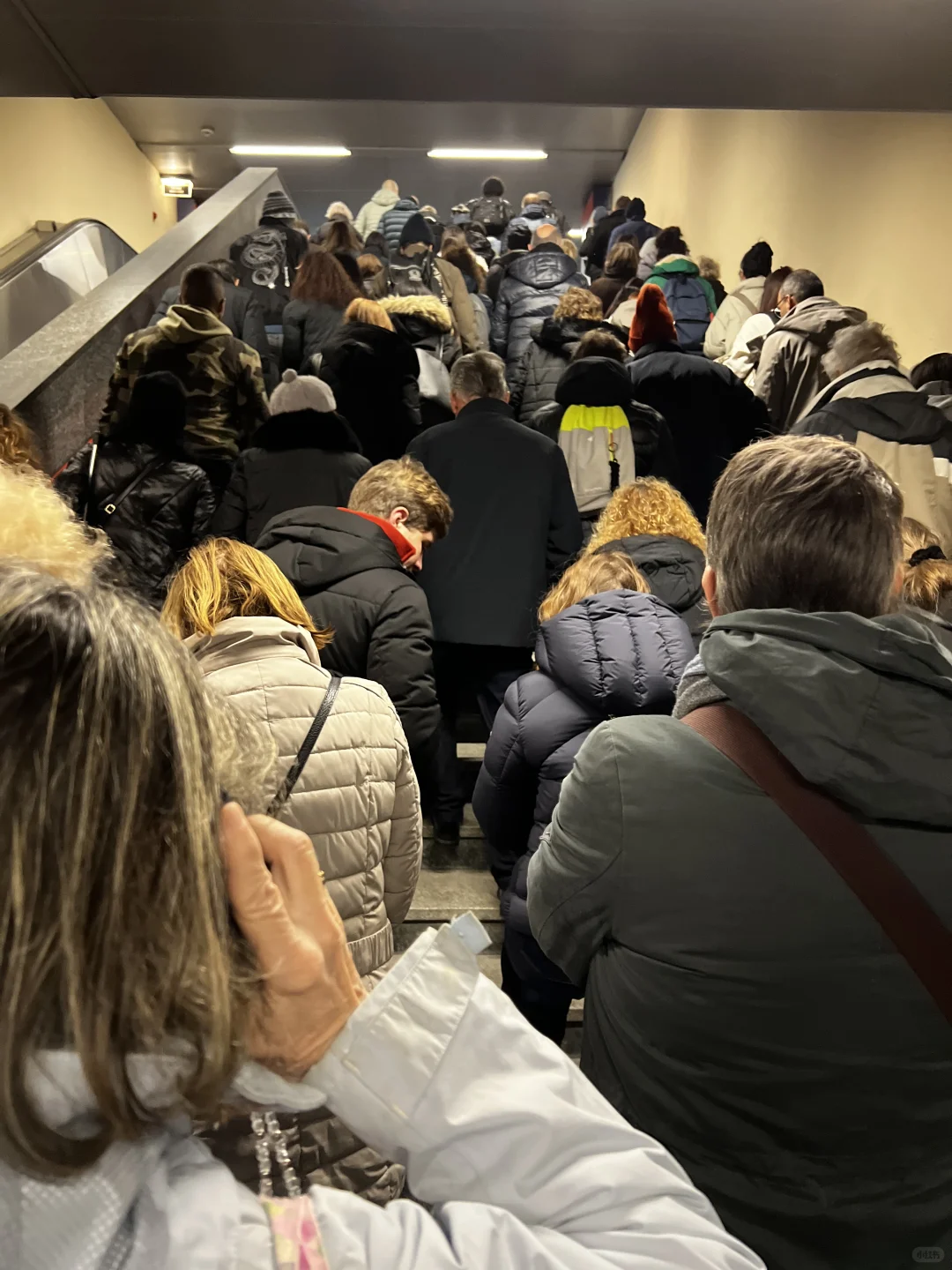 暴走6小时腿已断!米兰圣诞?大集实况!