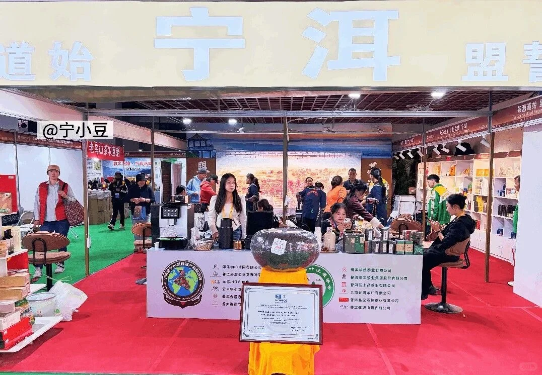 宁小豆咖啡｜2025普洱国际咖啡博览会（上）