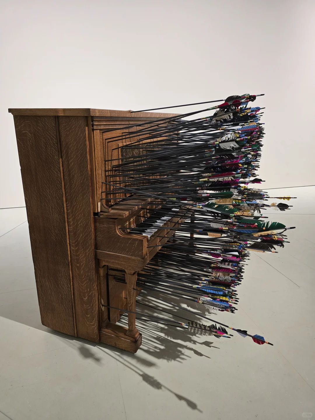 上海双年展|“花儿听到蜜蜂了吗?”