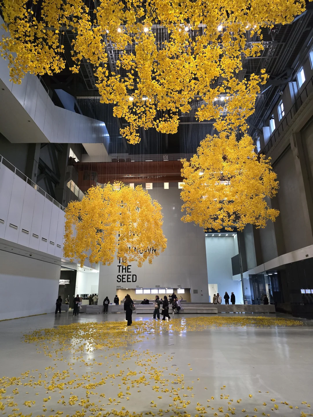 上海双年展|“花儿听到蜜蜂了吗?”