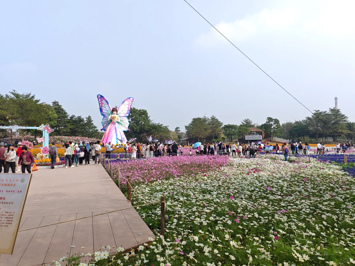 中山小榄菊花展 非正常人类参观指南…