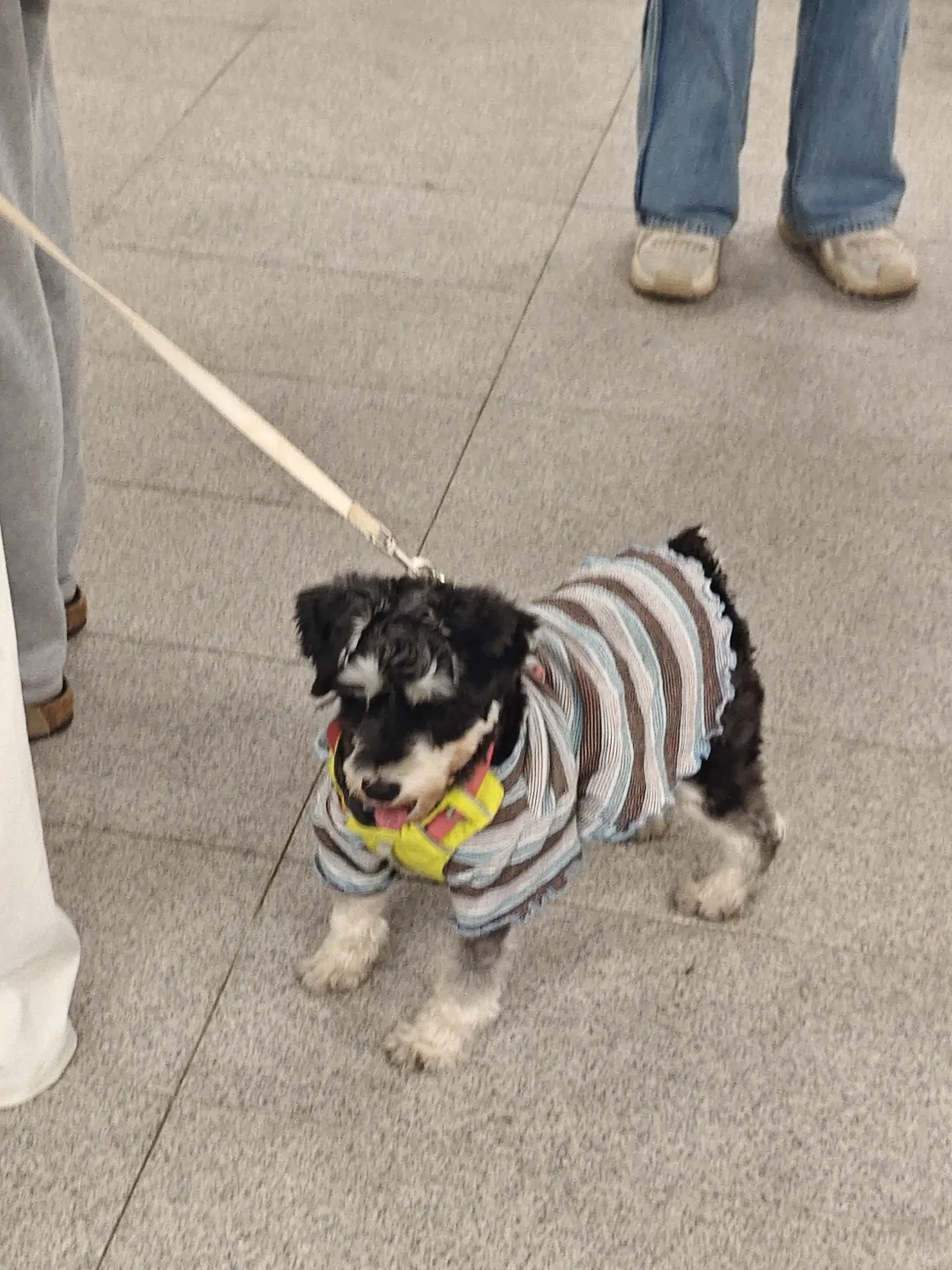 360设计展领到的一些东西