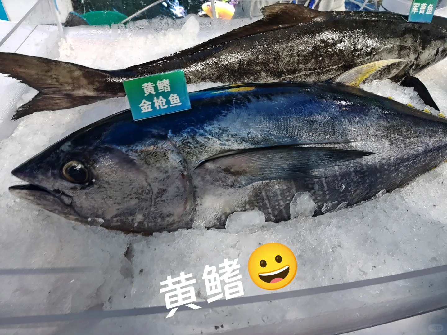 海南冬交会实测攻略！刺鲀萌翻+热带水果吃