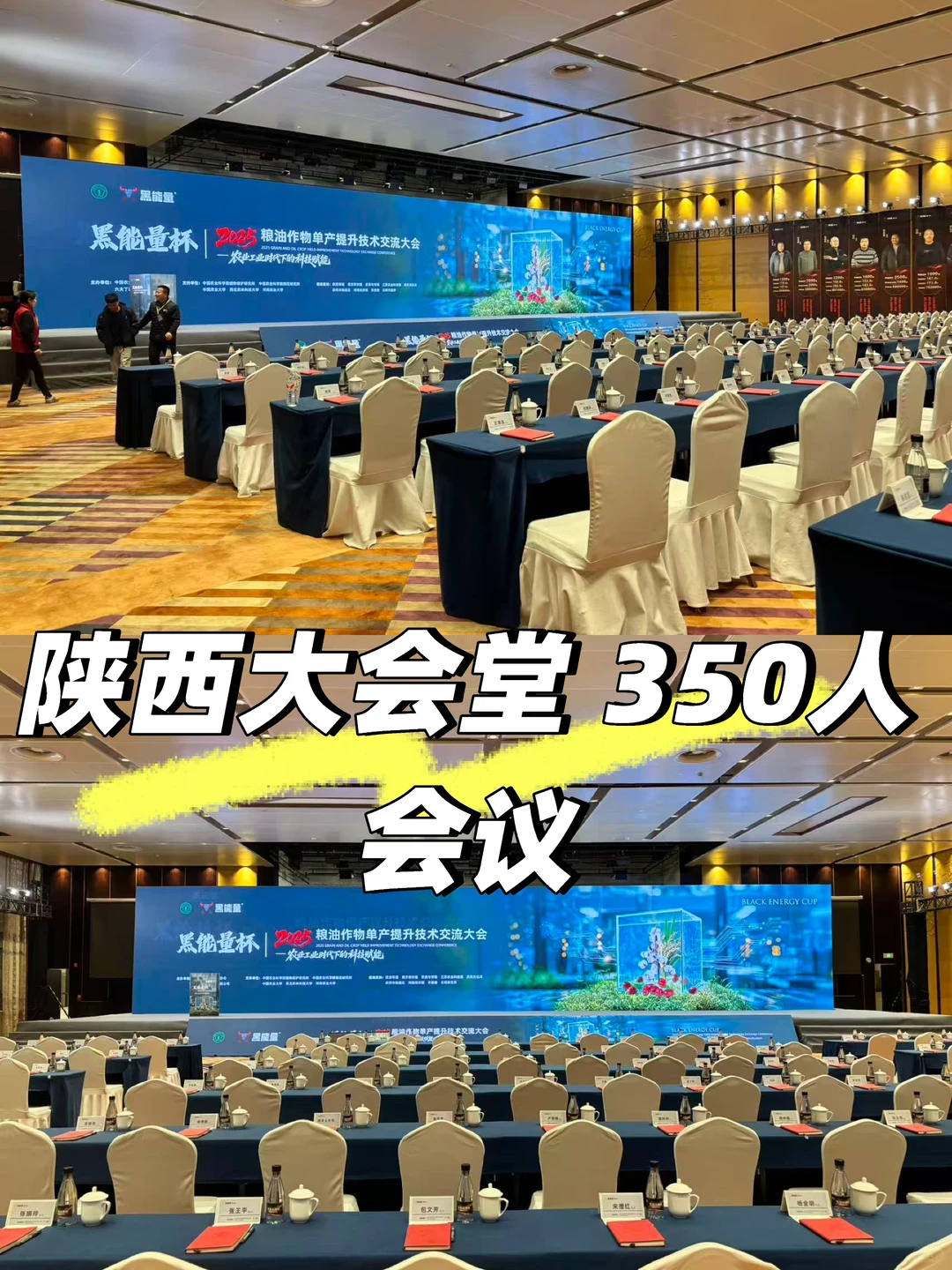黑能量/2025粮油作物单产提升技术交流大会