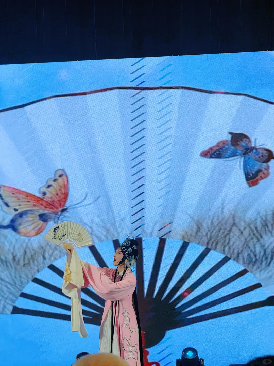 安徽有好戏！合肥喊福州宝子来赴约✨