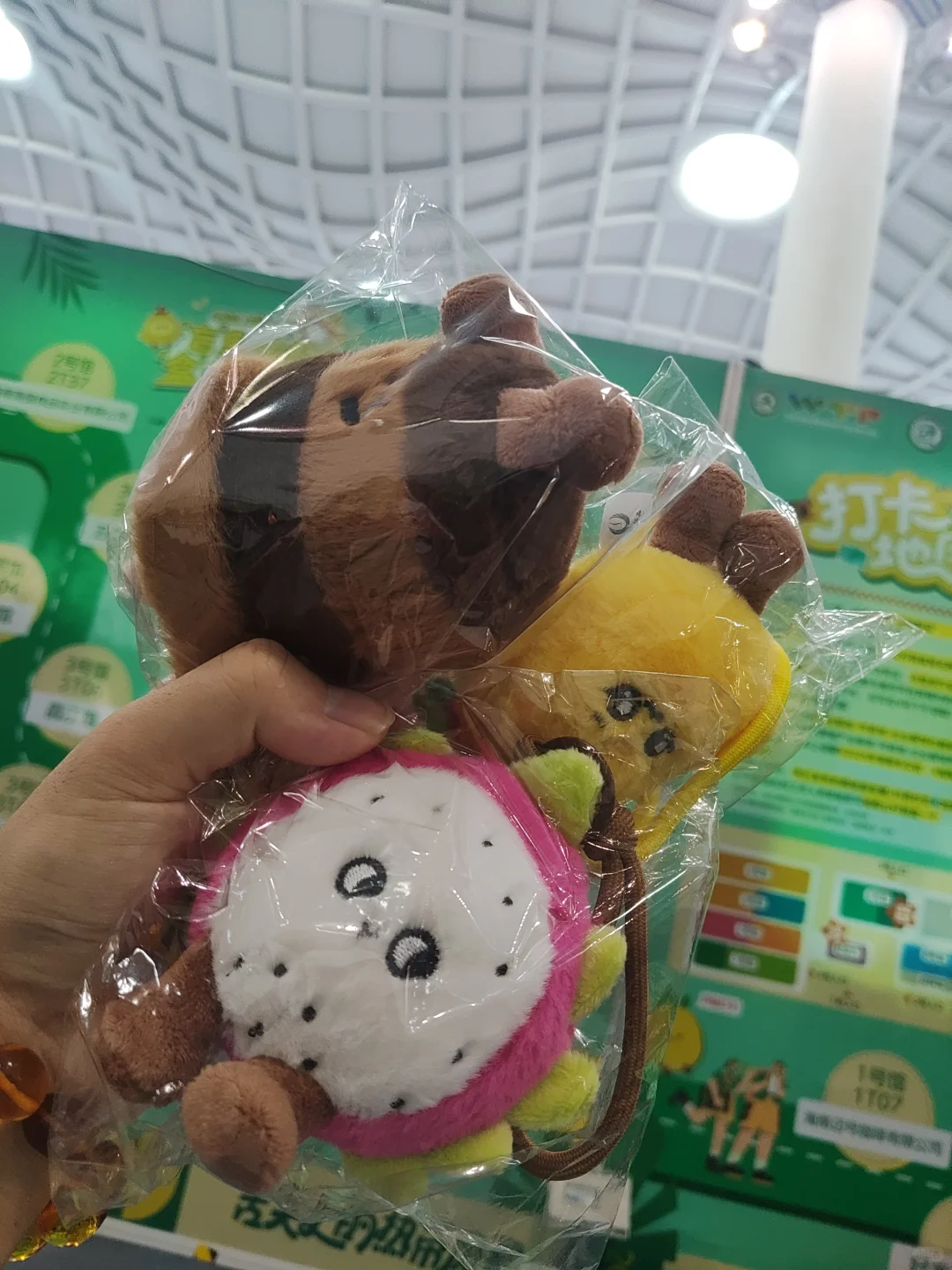 海南冬交会实测攻略！刺鲀萌翻+热带水果吃