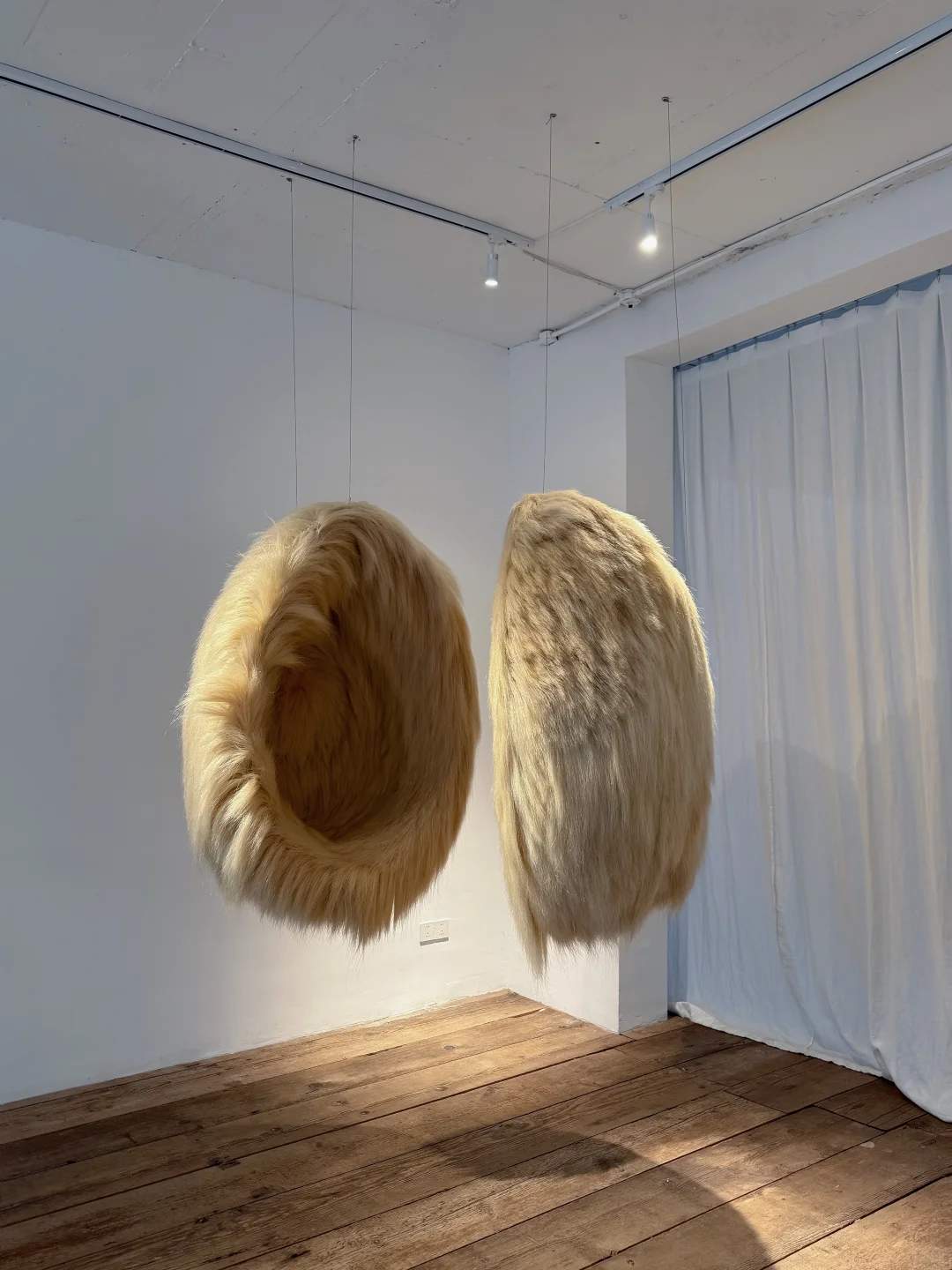 上海新展?《ShengDong》⏳