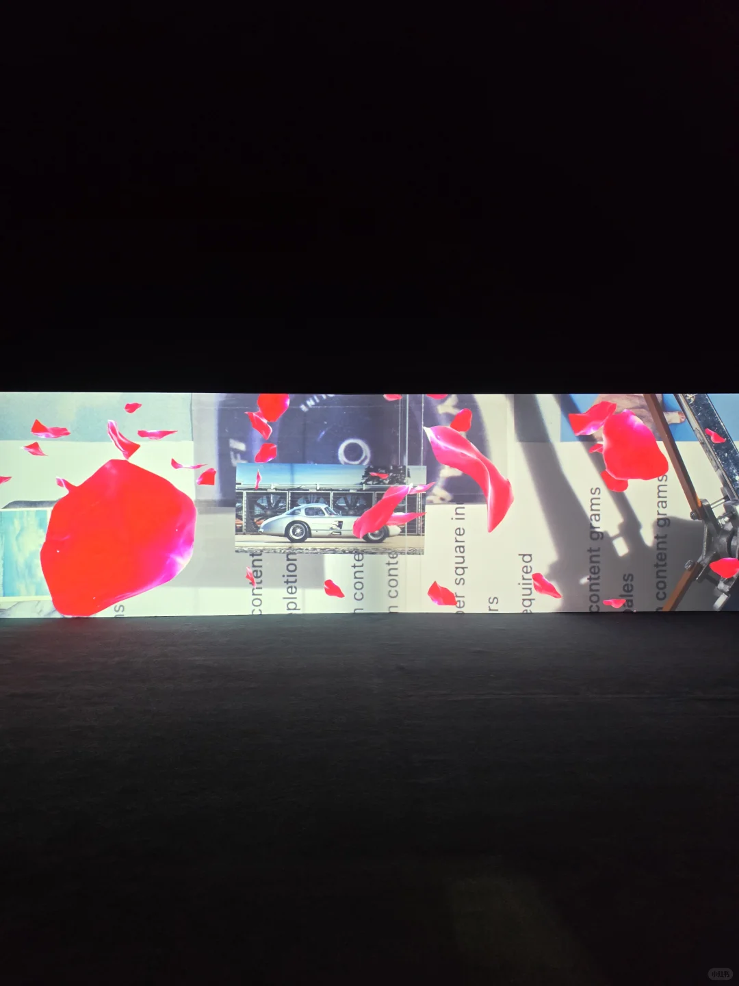 上海双年展|“花儿听到蜜蜂了吗?”