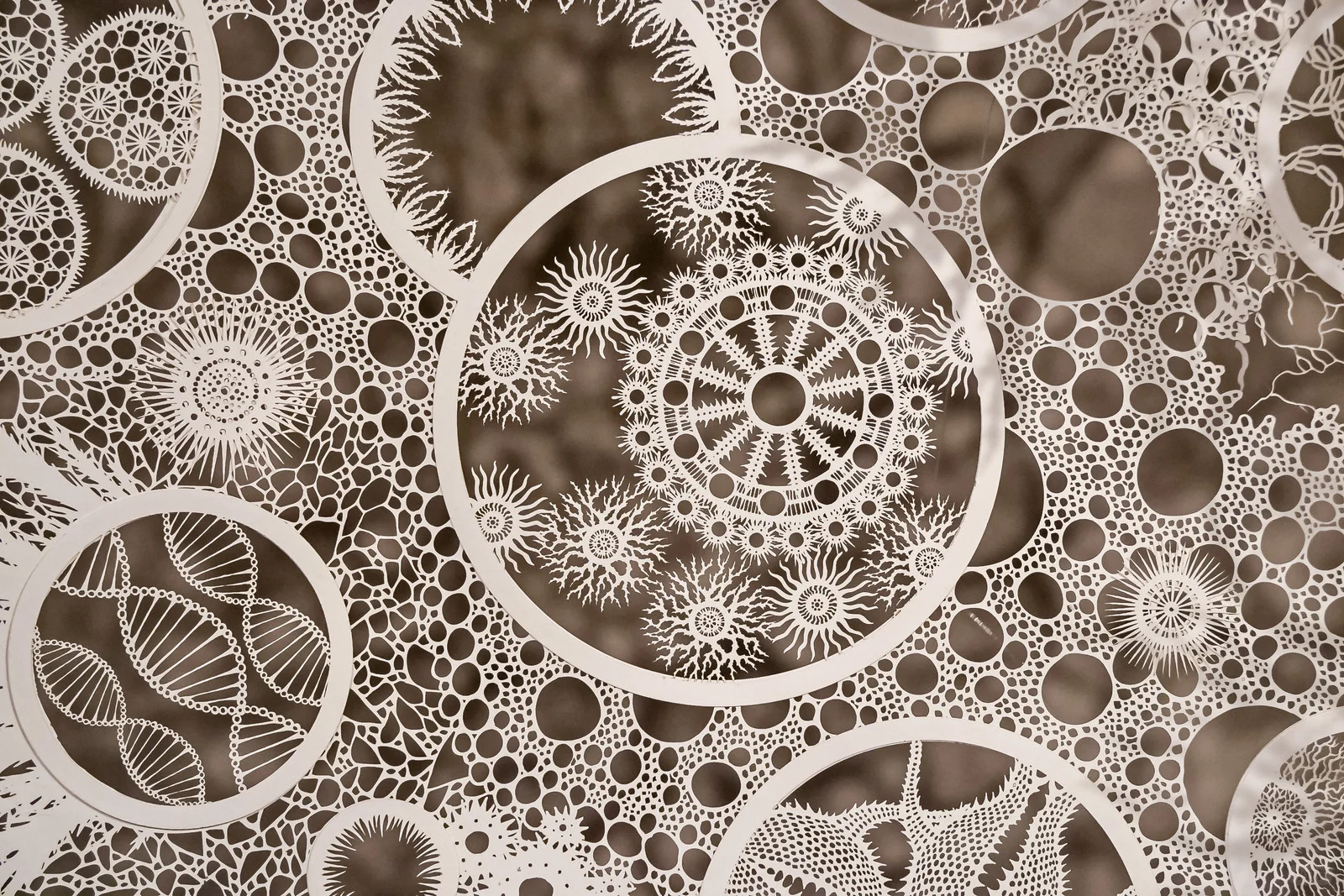 “共象新生”从洛桑到北京纤维艺术双年展