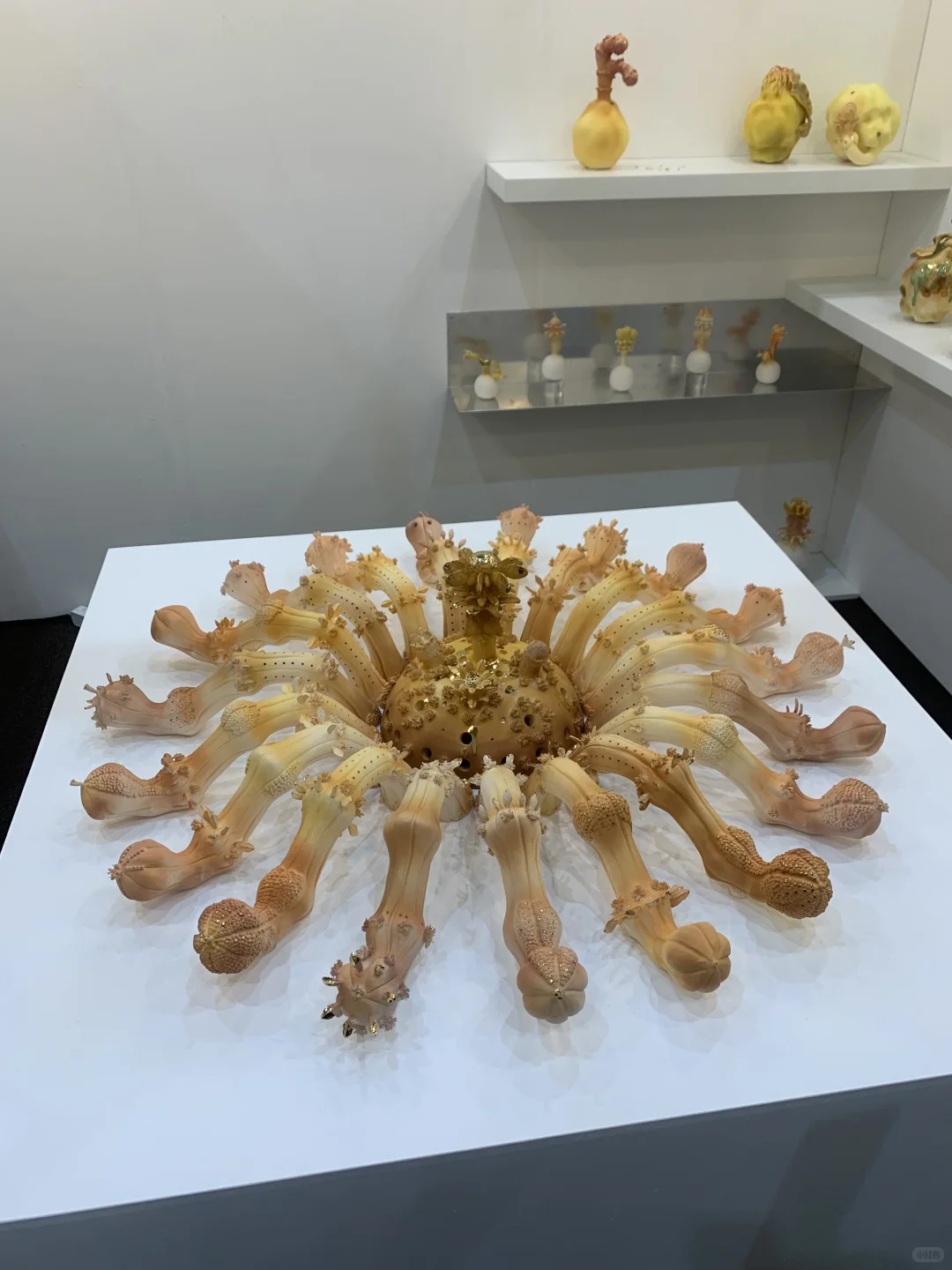 有趣的陶瓷｜韩国规模最大的工艺设计博览会