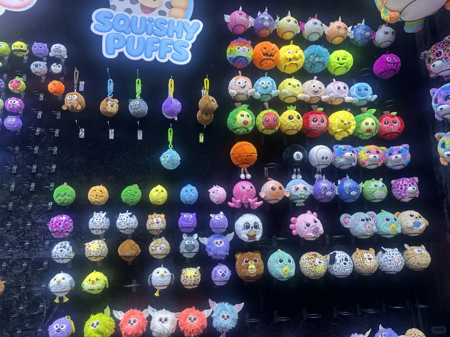 跨境电商创业plog｜来到传说中的广交会