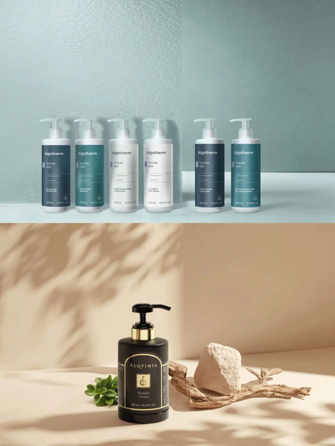 12月齐聚鹏城 共赴酒店行业盛会