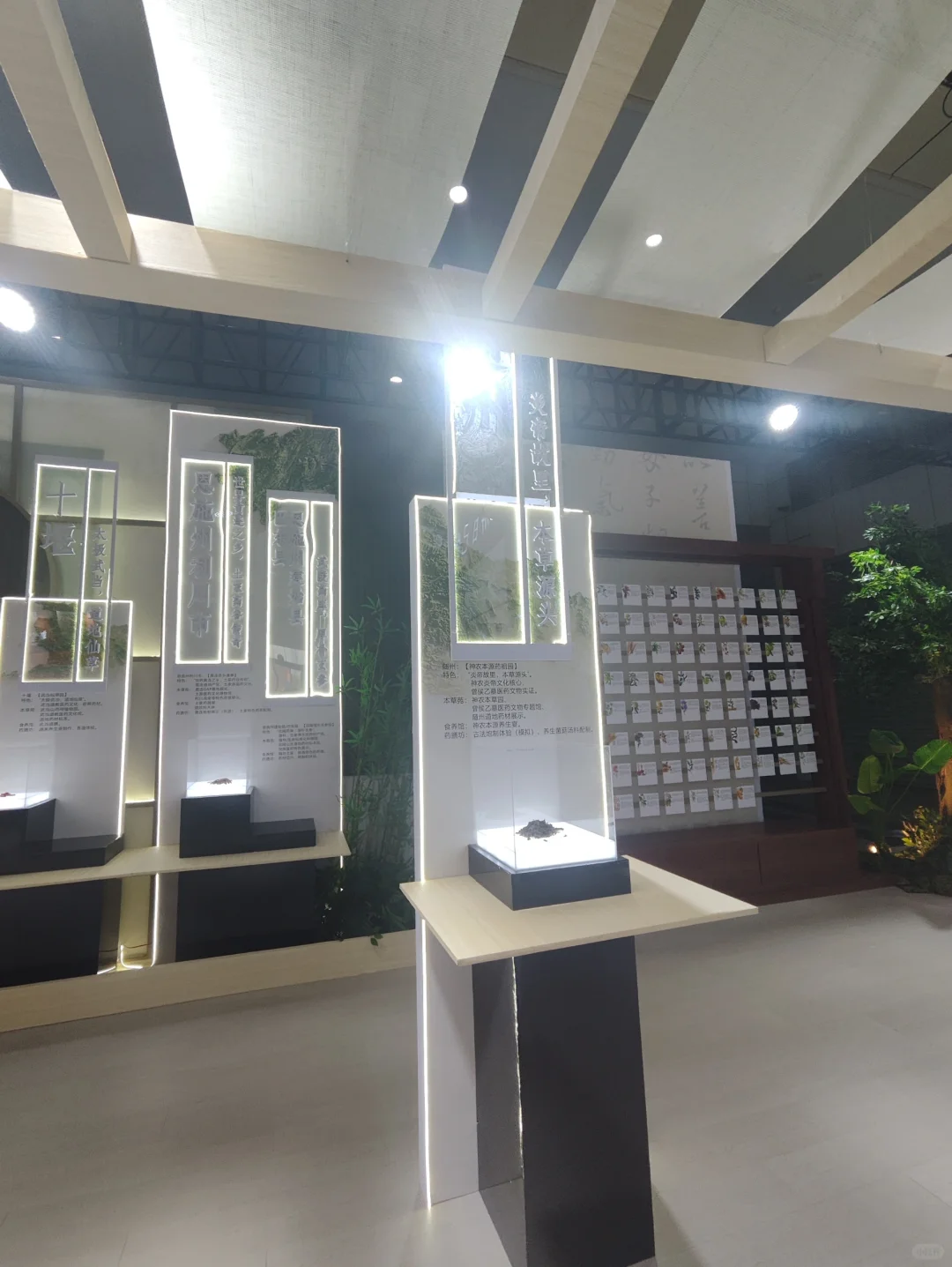 武展食博会有中药材实物展柜
