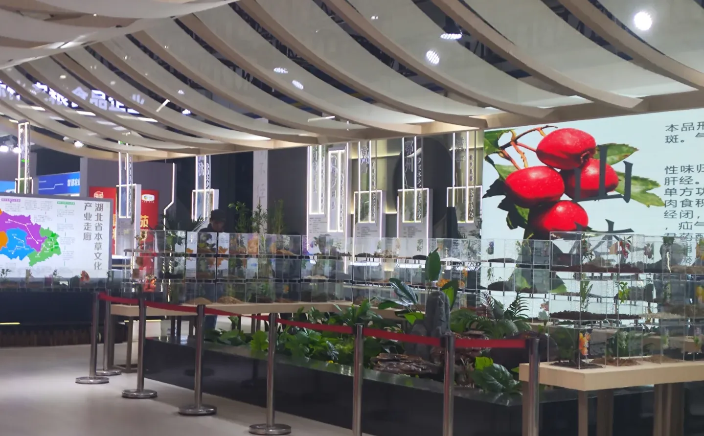 武展食博会有中药材实物展柜