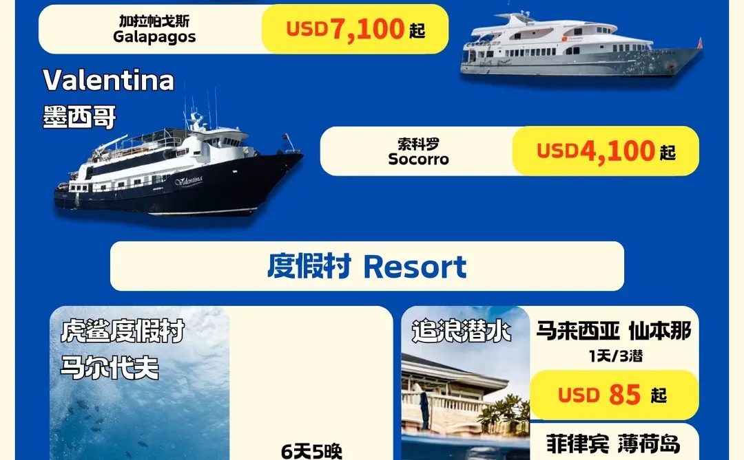 DRT热门?春节船宿大推荐➡️四王、马代深南线