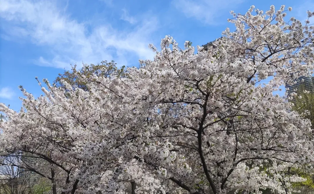 重启展会之旅！加拿大国际食品展收获颇多！