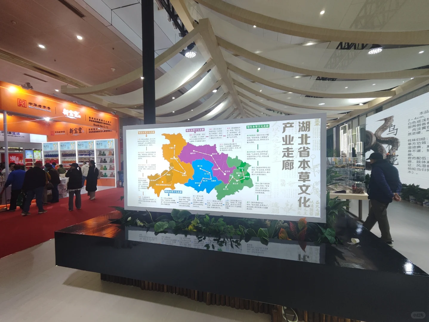 武展食博会有中药材实物展柜