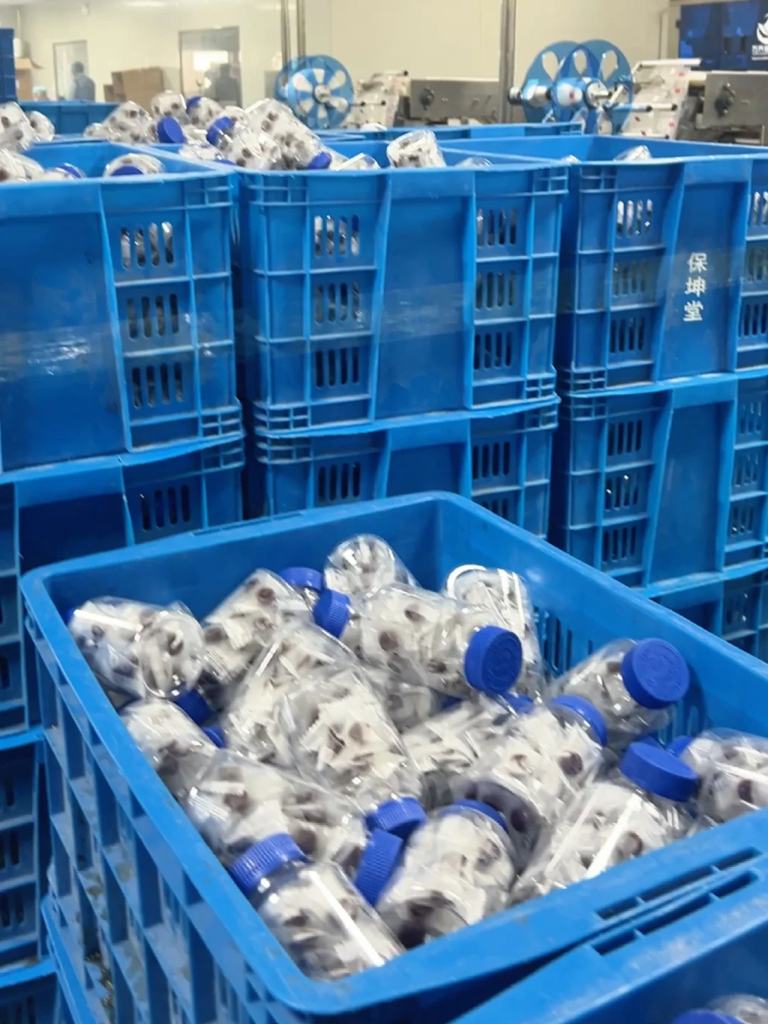 你的网红软糖，正在这条生产线诞生?