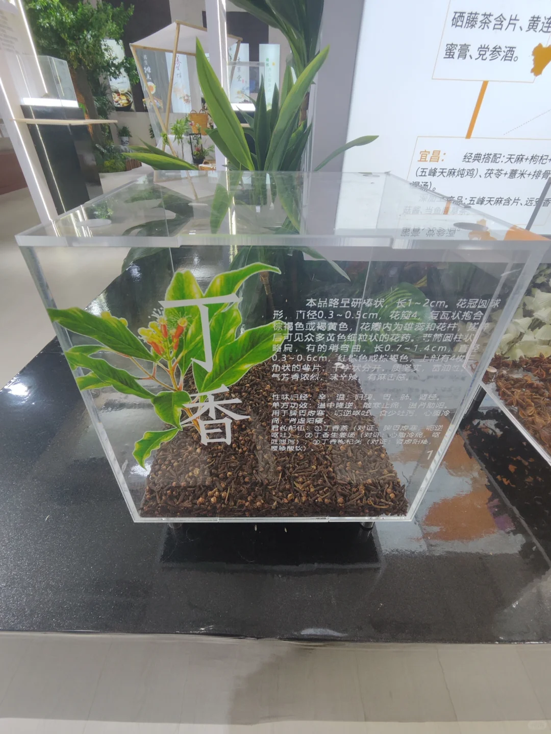 武展食博会有中药材实物展柜