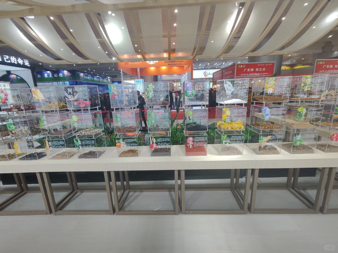 武展食博会有中药材实物展柜