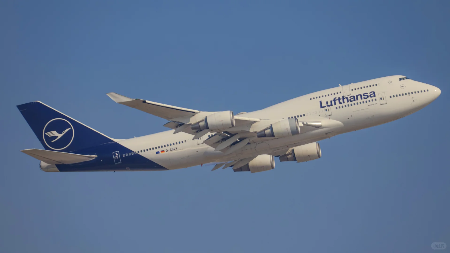 拍拉起给我拍爽了